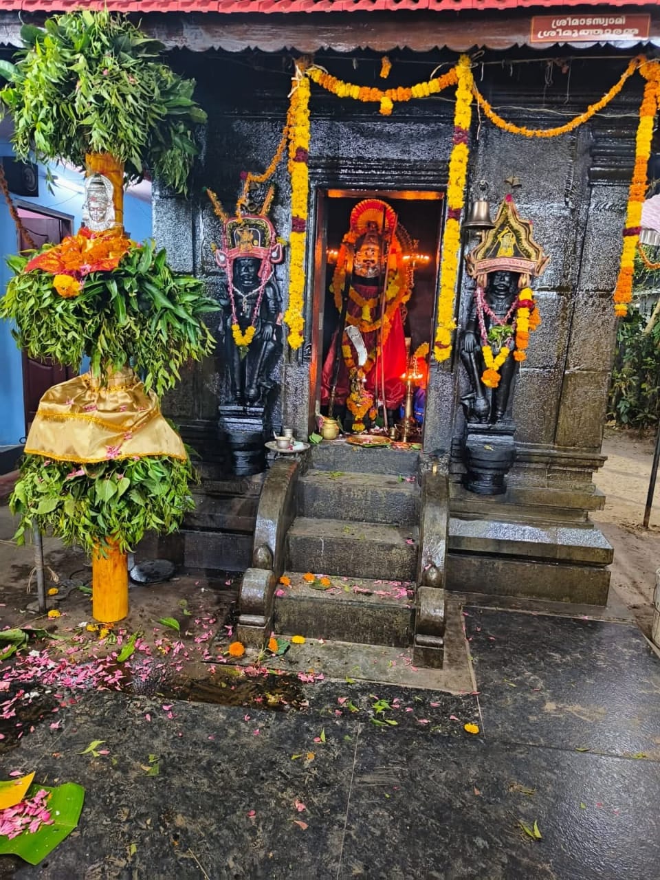 whatsapp image 2025 08 04 at 12.50.30 pm (1)