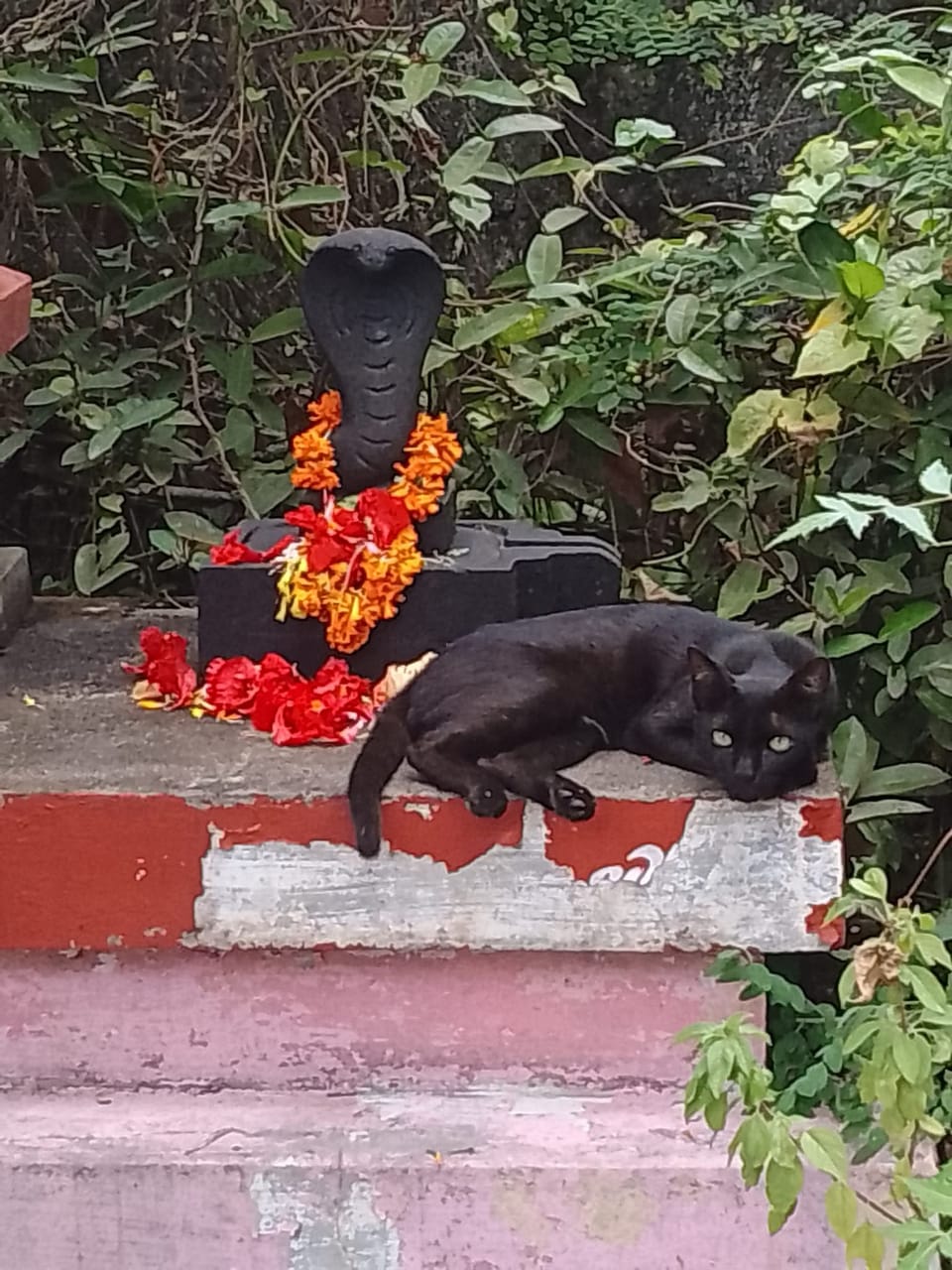 whatsapp image 2025 08 04 at 12.50.30 pm (8)