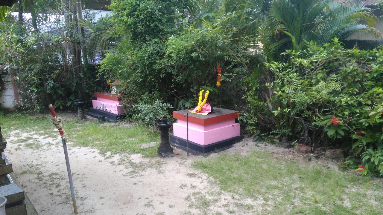 whatsapp image 2026 01 22 at 15.29.32 (2)