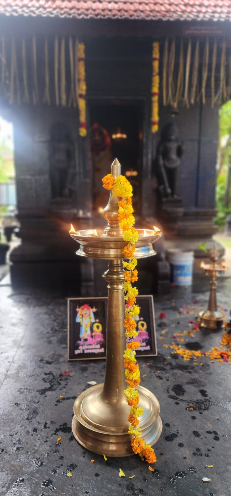 whatsapp image 2026 01 22 at 15.32.13 (2)