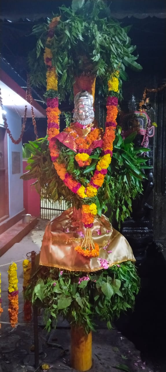 whatsapp image 2026 01 22 at 15.32.16