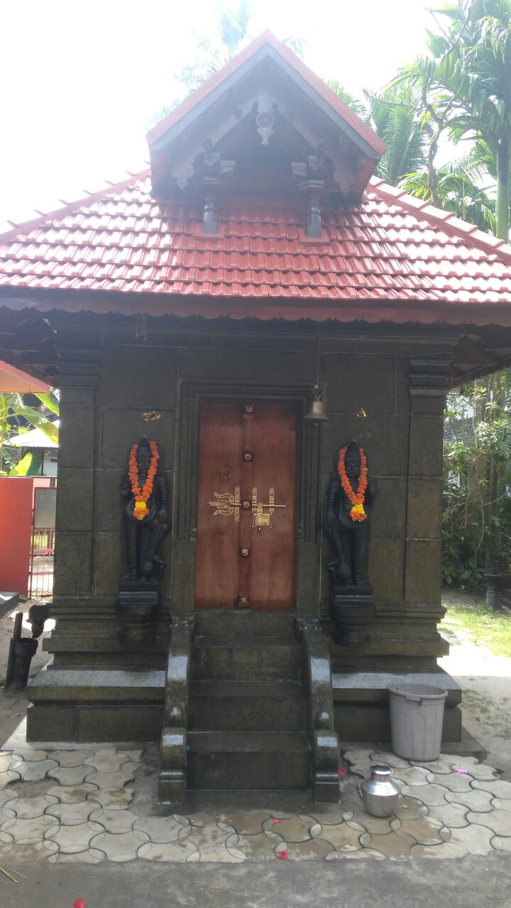 whatsapp image 2026 01 22 at 15.35.00